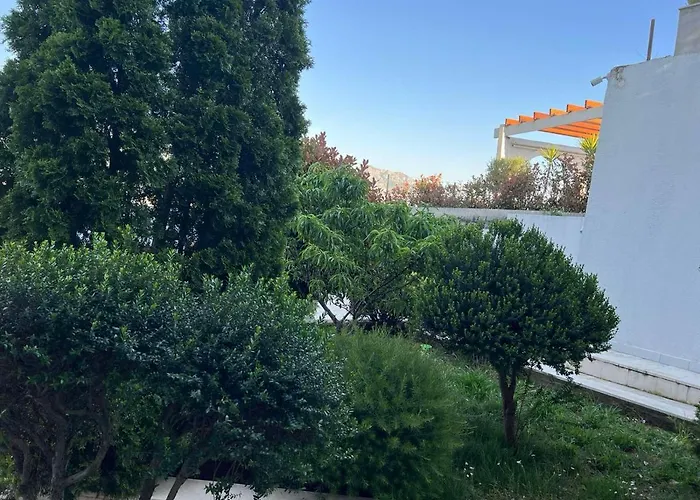 Vidikovac Budva